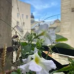 Apartment вірменська14 центр не далеко від ж д вокзалу звітні документи Lviv