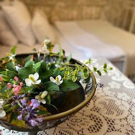 вірменська14 центр не далеко від ж д вокзалу звітні документи Apartamento *