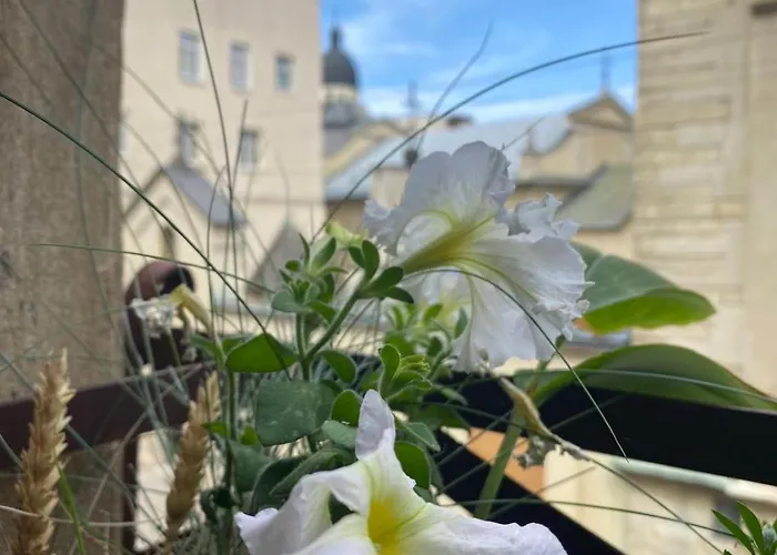 Apartment вірменська14 центр не далеко від ж д вокзалу звітні документи Lviv